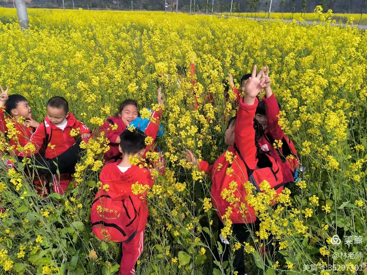 春暖花🌸开，是户外游玩的好季节。瞧，我们又整装待发春游去了🌈🌸🥰